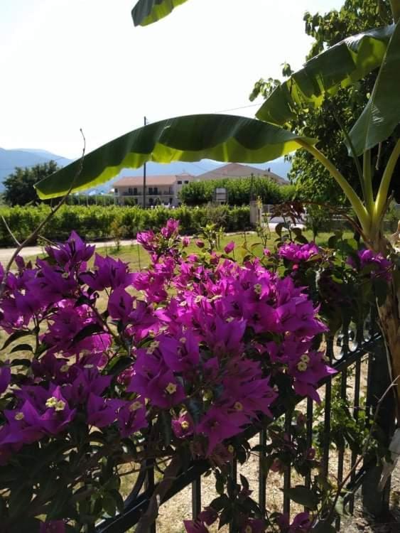 Вилла Rosegarden Сами Экстерьер фото